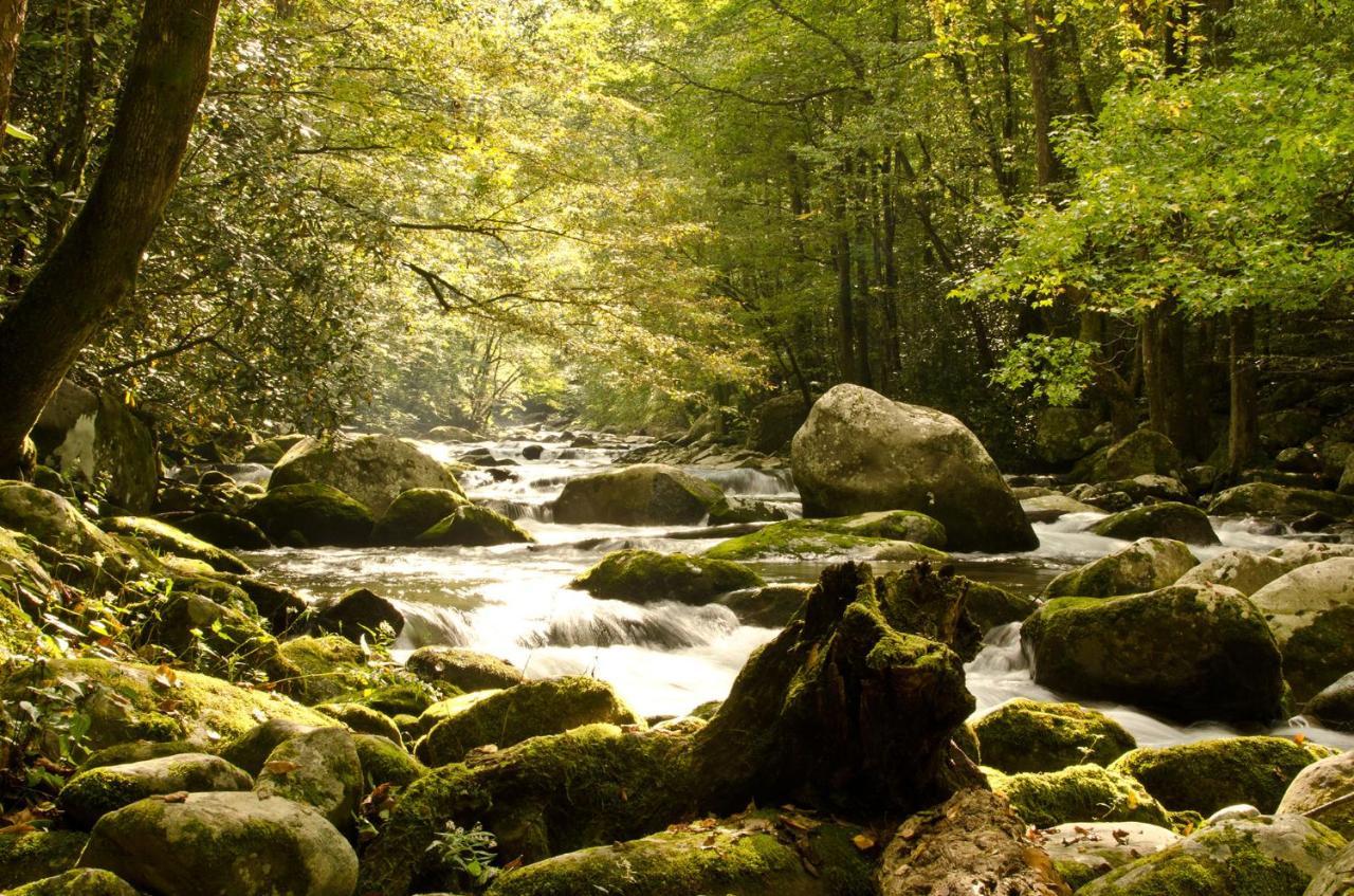 Villa Woodland Escape Pigeon Forge Esterno foto